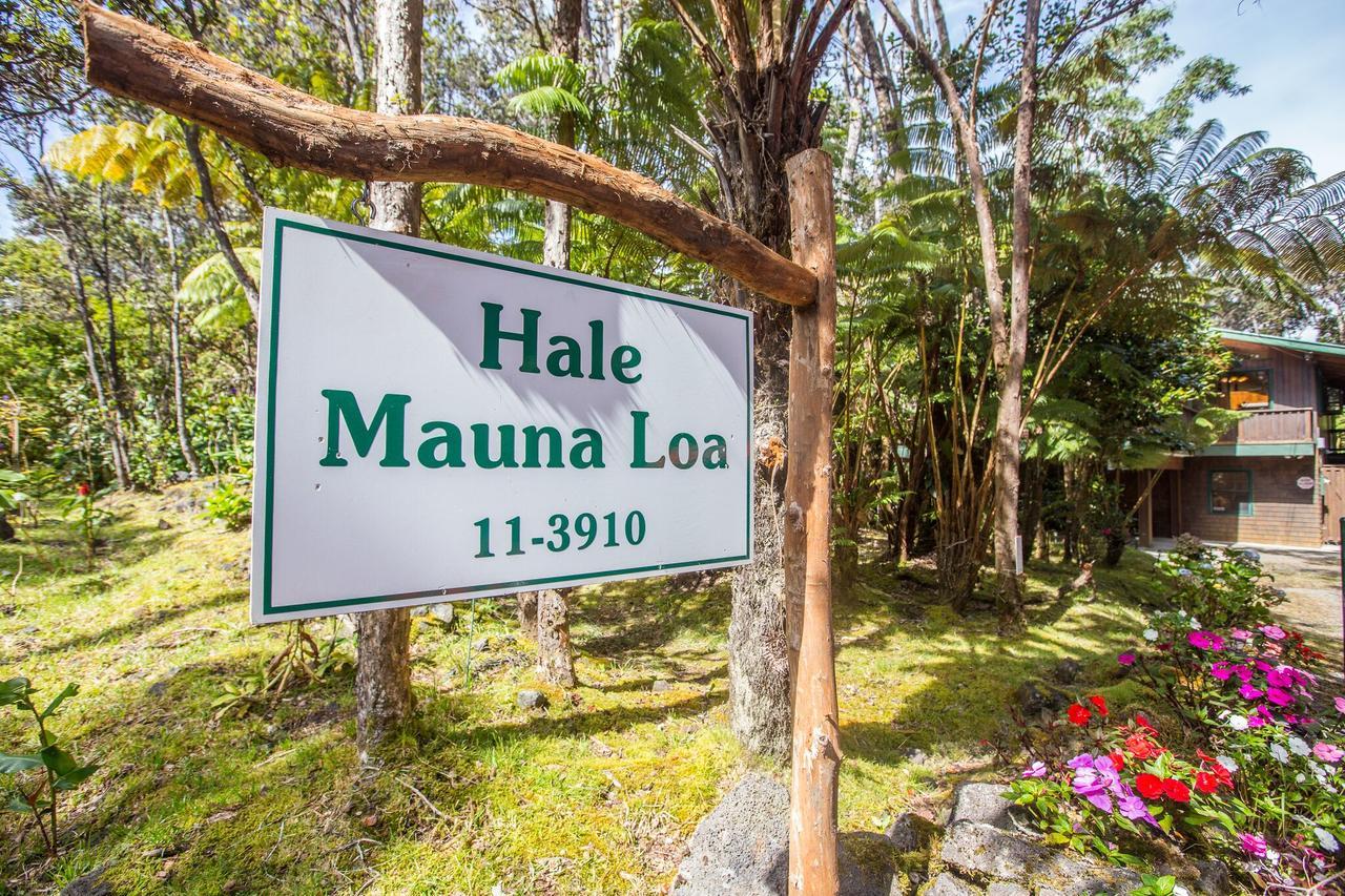 Hale Mauna Loa Upper Level With Shared Hot Tub Волкано Екстер'єр фото