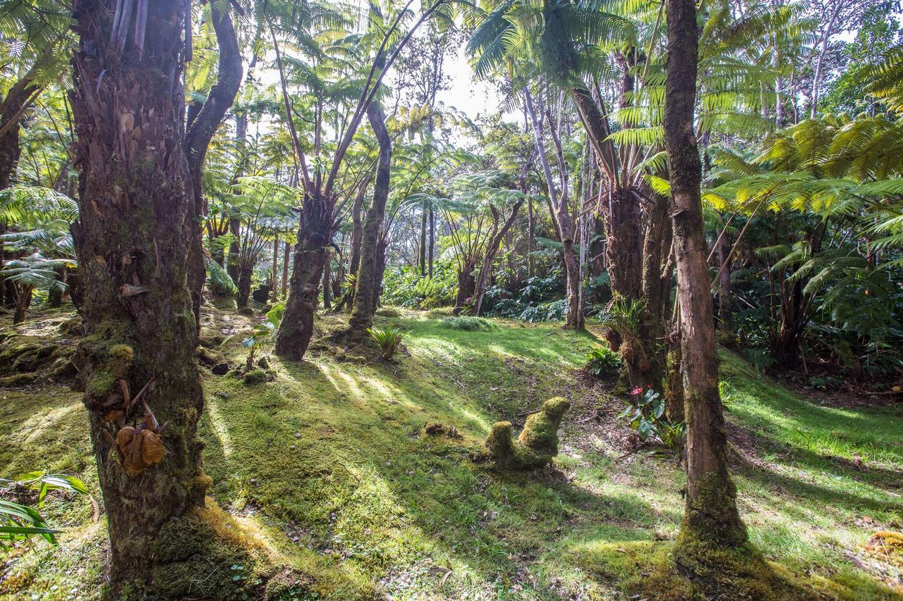 Hale Mauna Loa Upper Level With Shared Hot Tub Волкано Екстер'єр фото